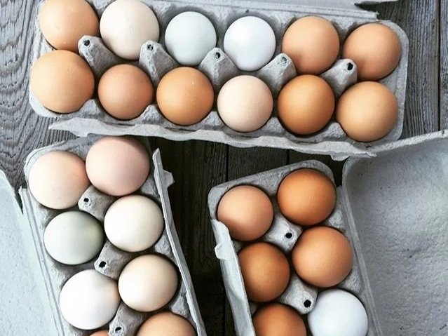 Assorted eggs in various colors displayed in cardboard cartons on a wooden surface, showcasing a range of sizes and hues, including brown, white, and green eggs.